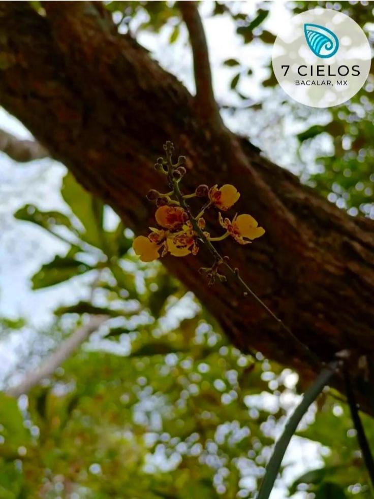 7 Cielos Bacalar. Esterno foto